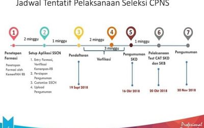 Penerimaan CPNS 2018 Dibuka 19 September 2018, Portal SSCN BKN Siap Diakses Pelamar