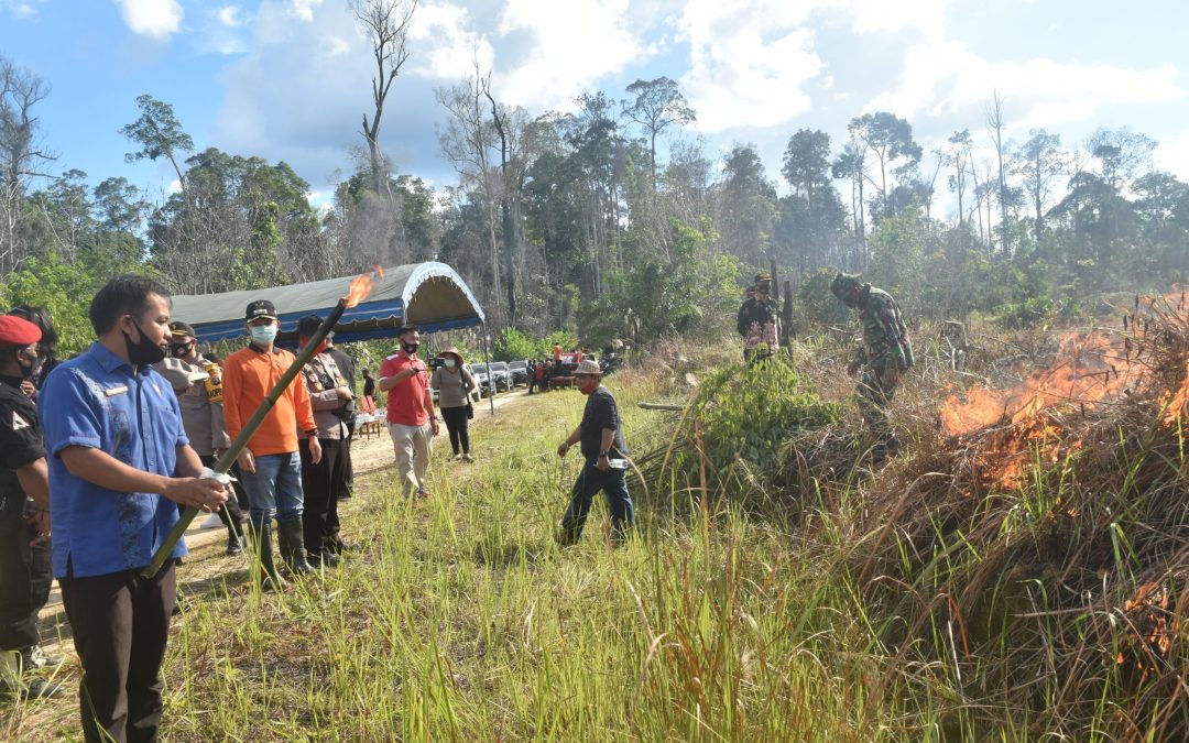 Membakar Lahan dengan Kearifan Lokal Di Kabupaten Gunung Mas